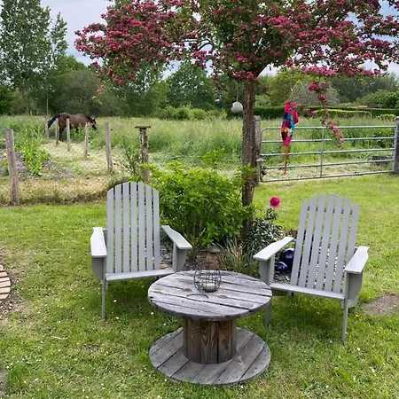 Maison De Campagne Le Patis Aux Chevaux Proche Circuit 24H Et Le Mans